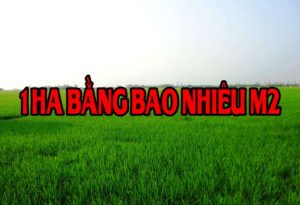 1 Ha bằng bao nhiêu m2