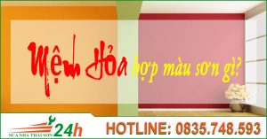 Mệnh Hoả hợp màu gì?