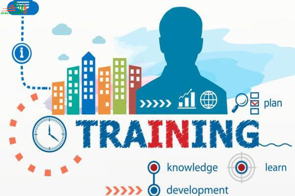 Training là gì? Tại sao nên tiến hành training?