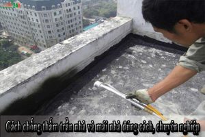 Cách chống thấm trần nhà và mái nhà đúng cách, chuyên nghiệp